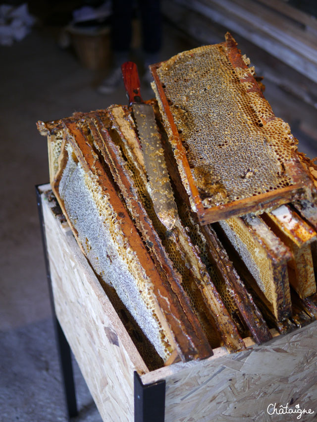 La fabuleuse histoire du Miel