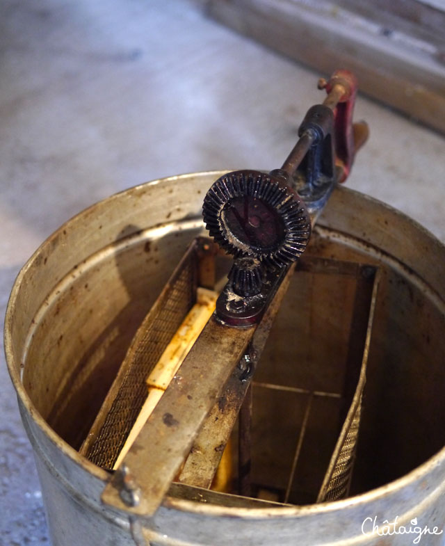 La fabuleuse histoire du Miel