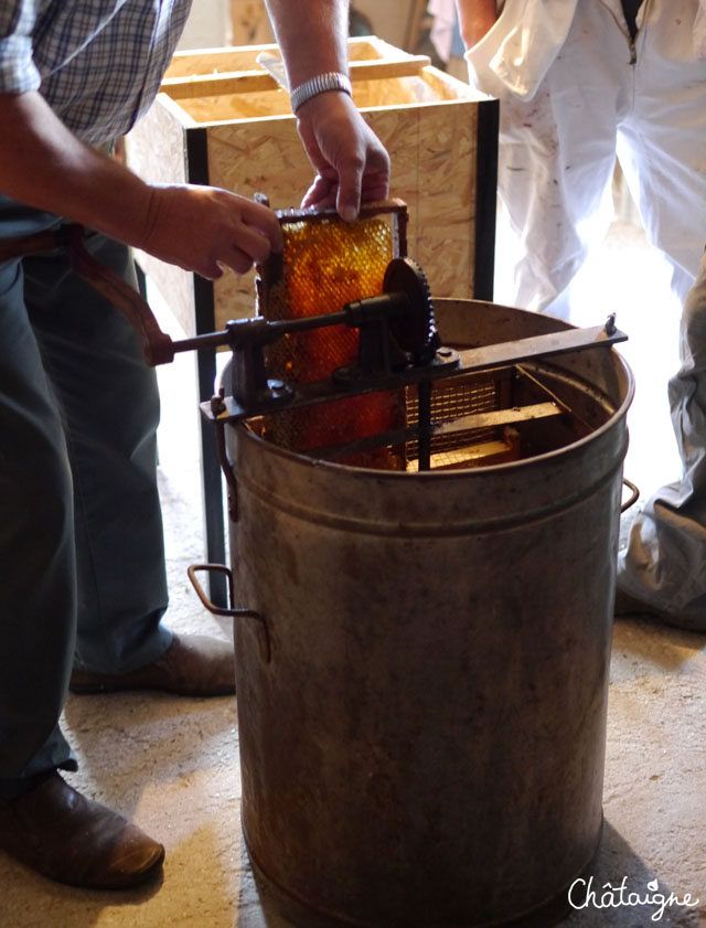 La fabuleuse histoire du Miel