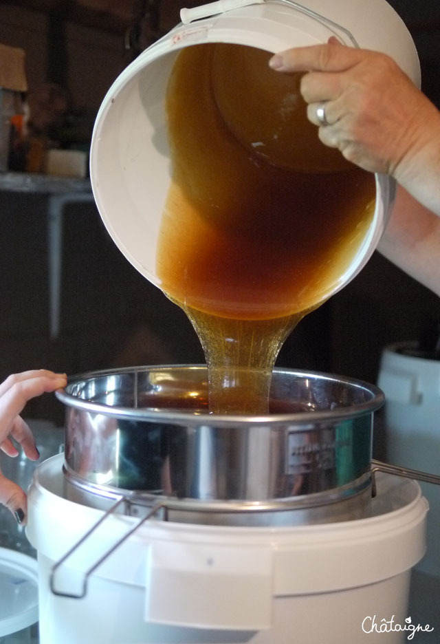 La fabuleuse histoire du Miel