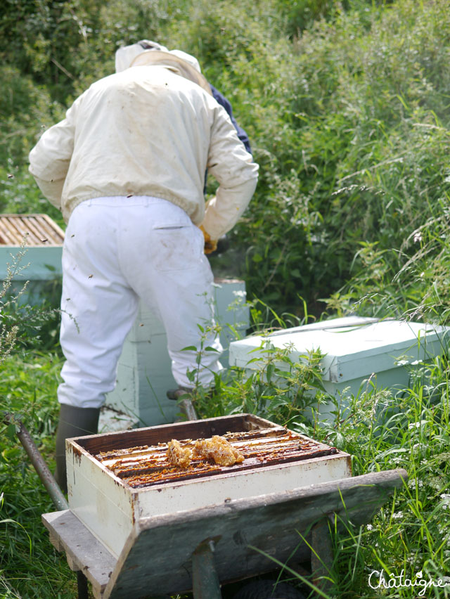 La fabuleuse histoire du Miel