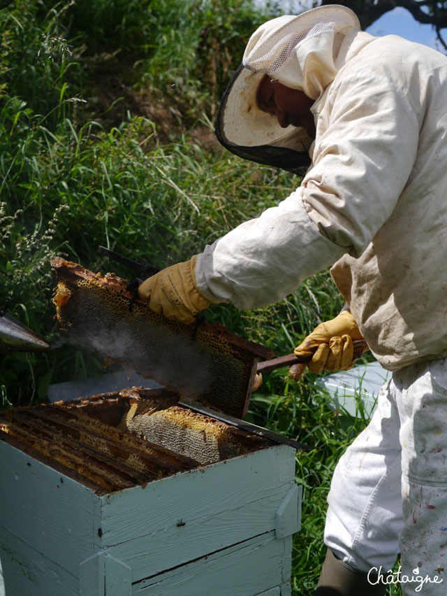 La fabuleuse histoire du Miel