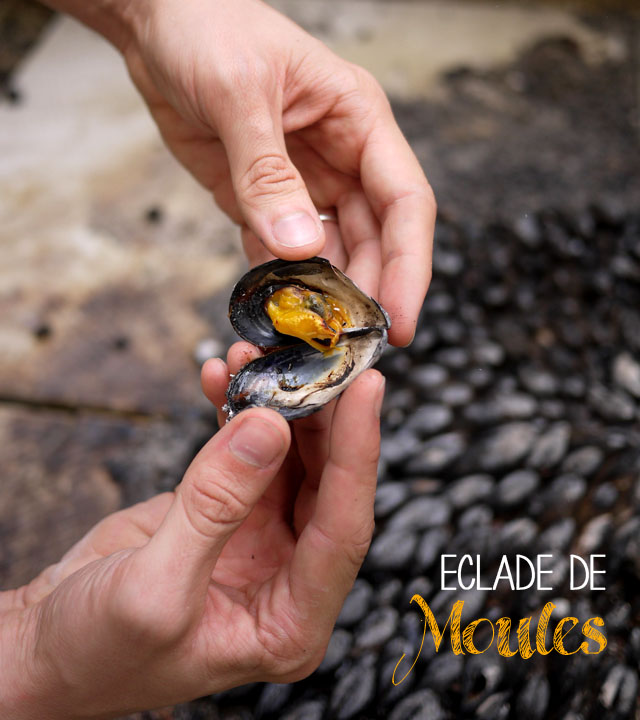 éclade de moules