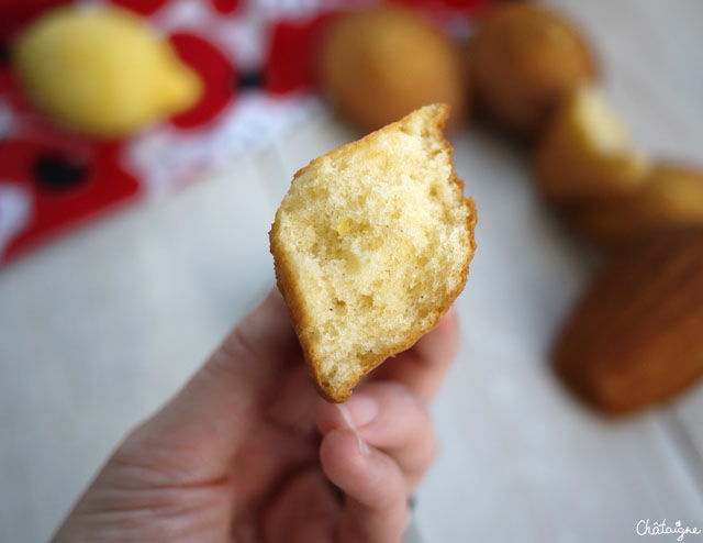 madeleines au citron