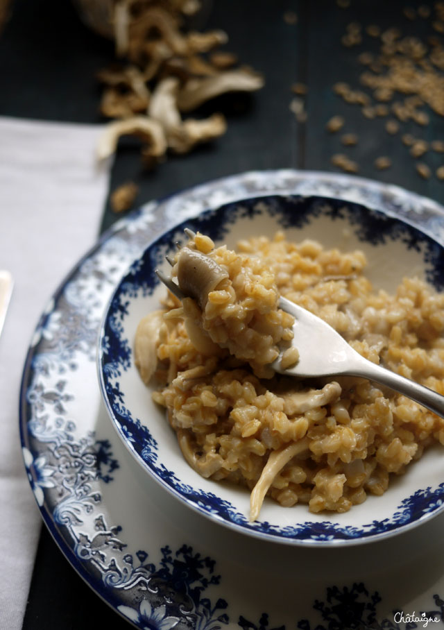 Risotto de petit épeautre aux pleurotes 