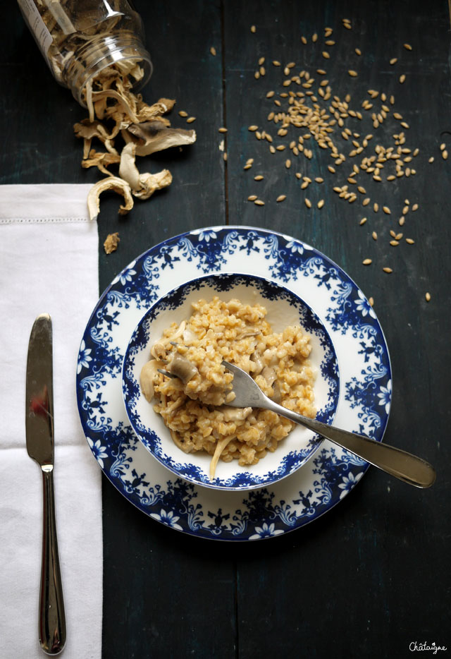 Risotto de petit épeautre aux pleurotes