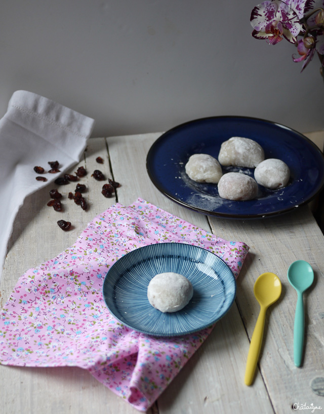 Mochis cranberries-framboises