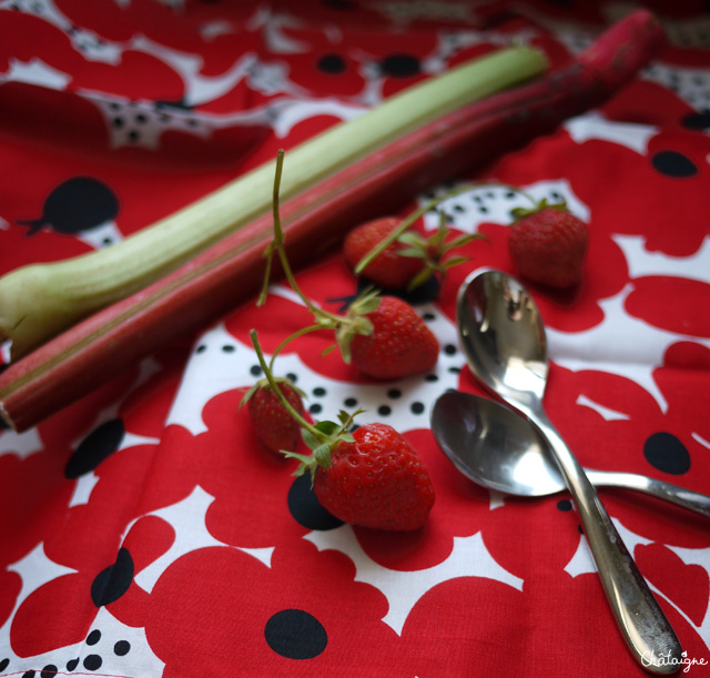 Confiture fraises-rhubarbe