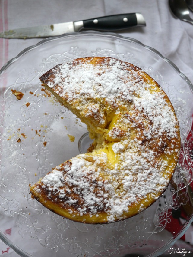 Torta di ricotta