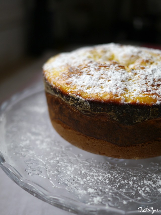 Torta di ricotta 