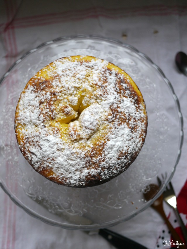 Torta di ricotta