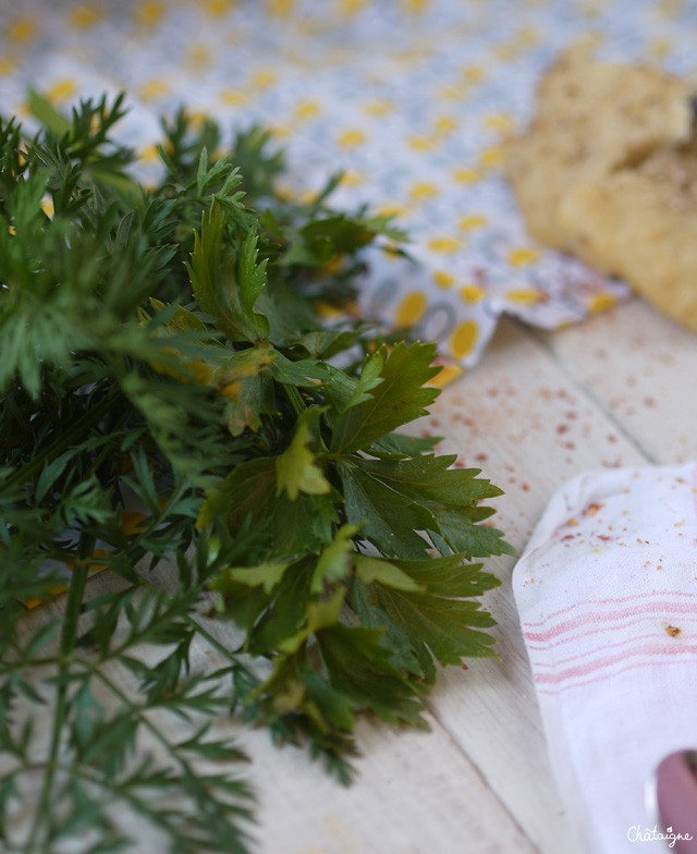 Soupe de fanes de carottes