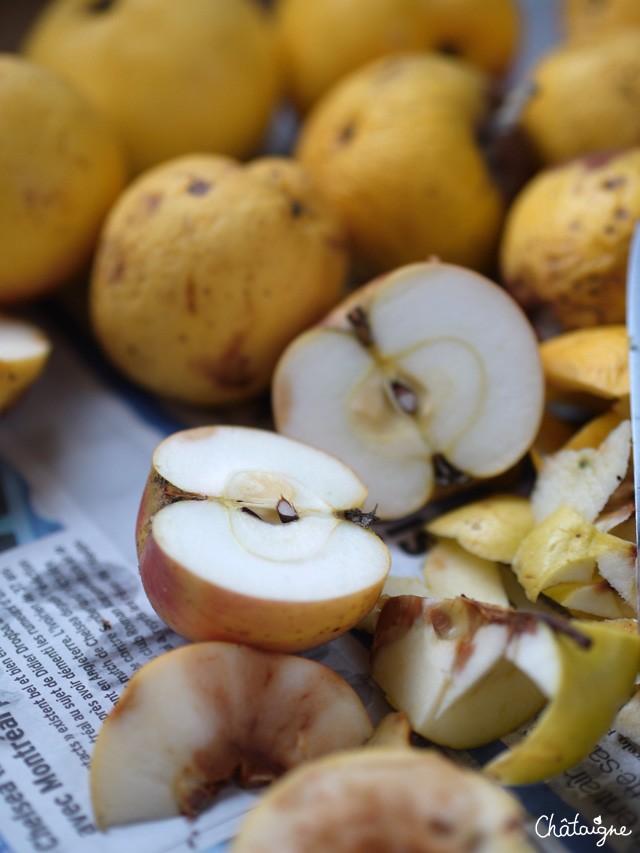 Pâte à tartiner aux pommes