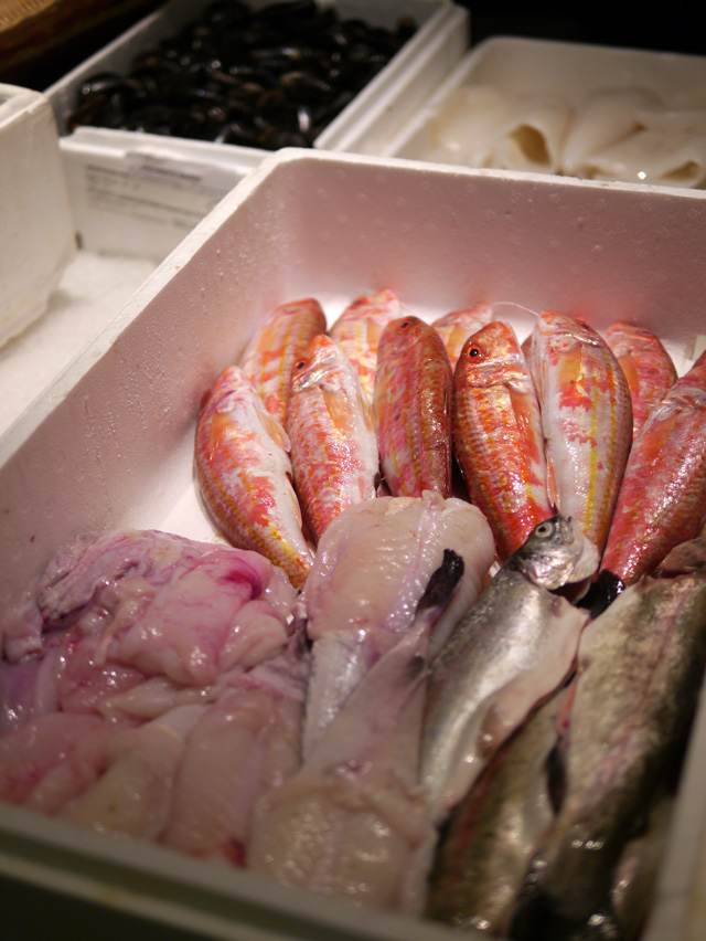 [Idée weekend] Un ptit tour à Avignon