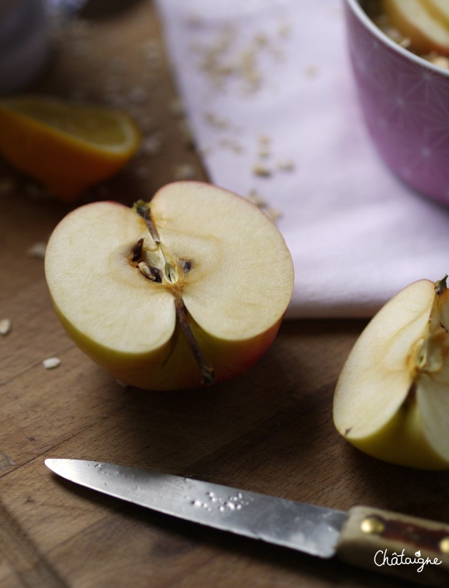 Porridge aux pommes (2)