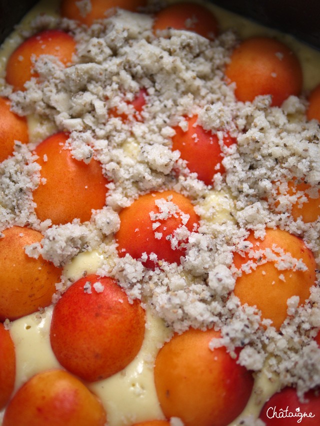 Crumbcake aux abricots