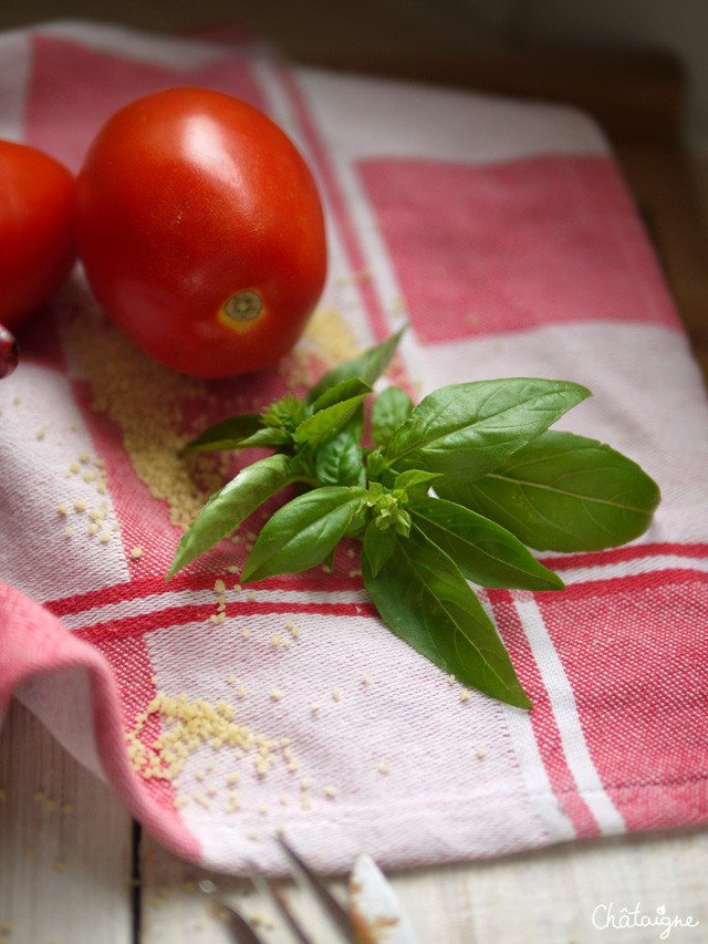 Cannellonis d'aubergines à la ricotta