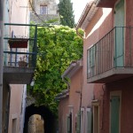 [Idée weekend] Nyons, capitale des Baronies Provençales