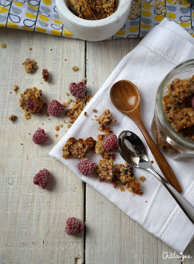 granola framboises-cranberries