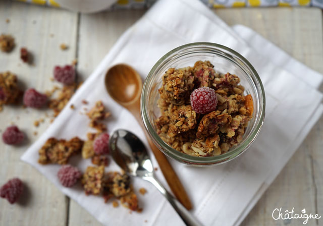 Granola framboises-cranberries