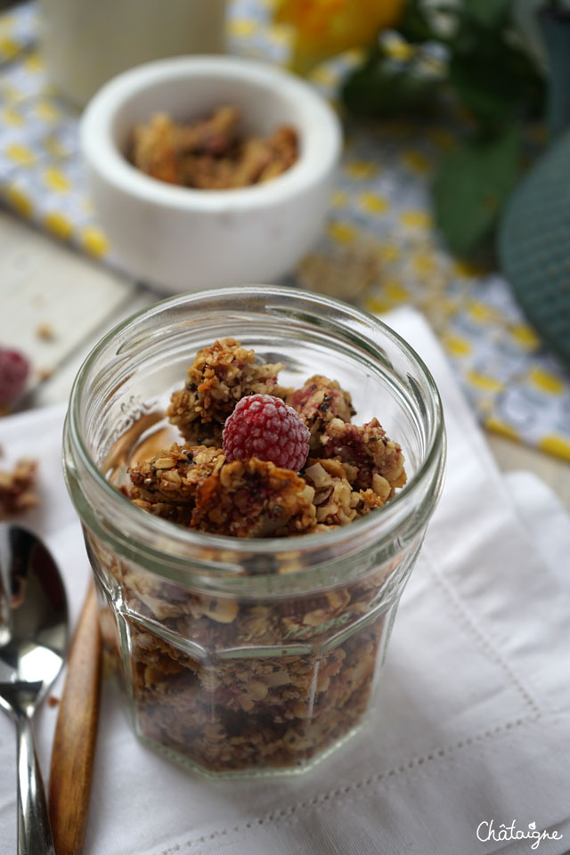 granola framboises-cranberries