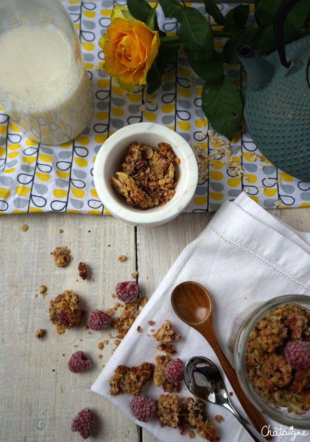 granola framboises-cranberries