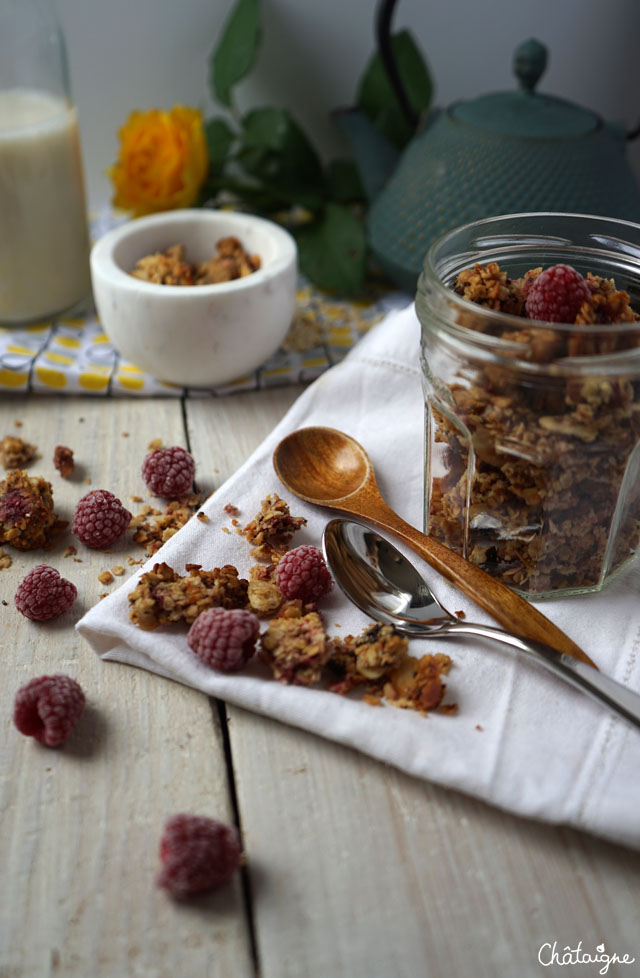 granola framboises-cranberries