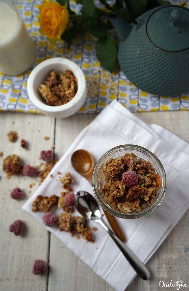 granola framboises-cranberries