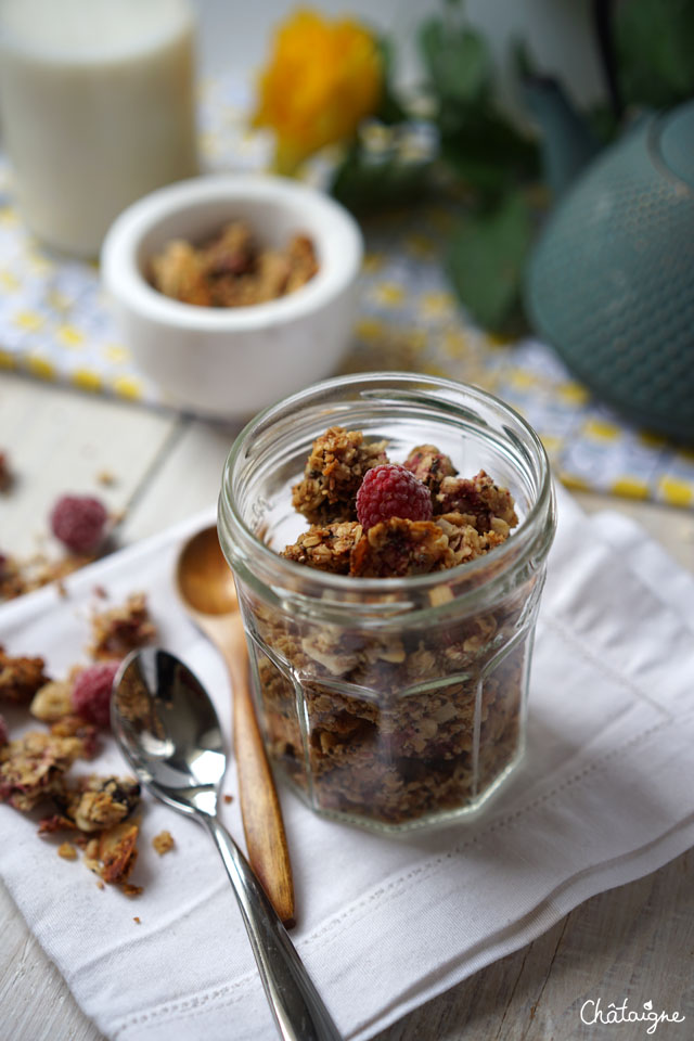 granola framboises-cranberries