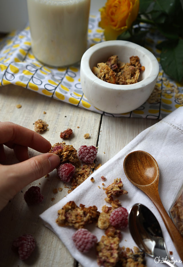 granola framboises-cranberries