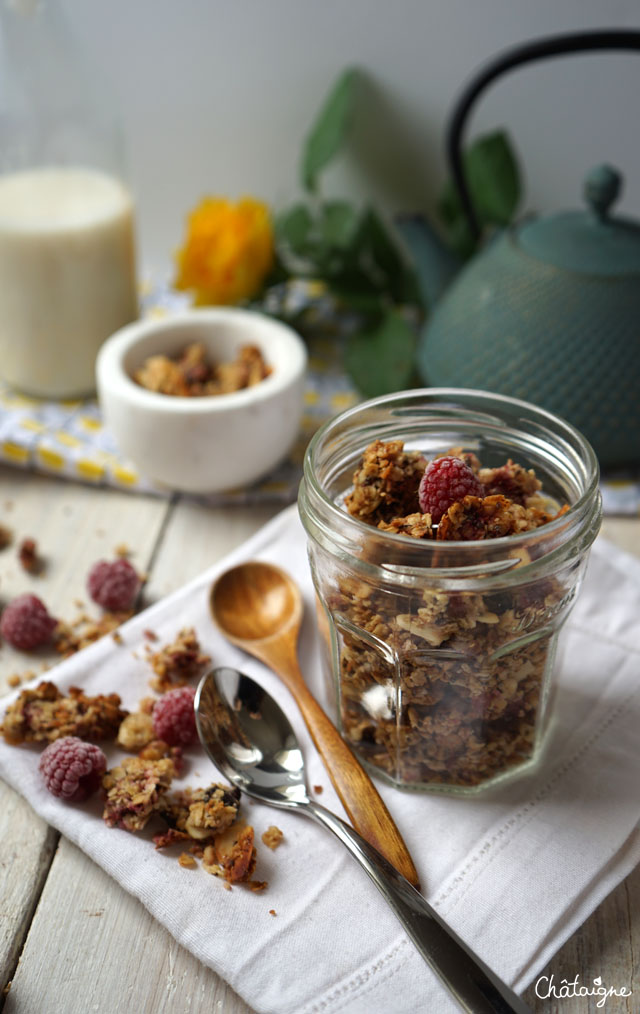 granola framboises-cranberries