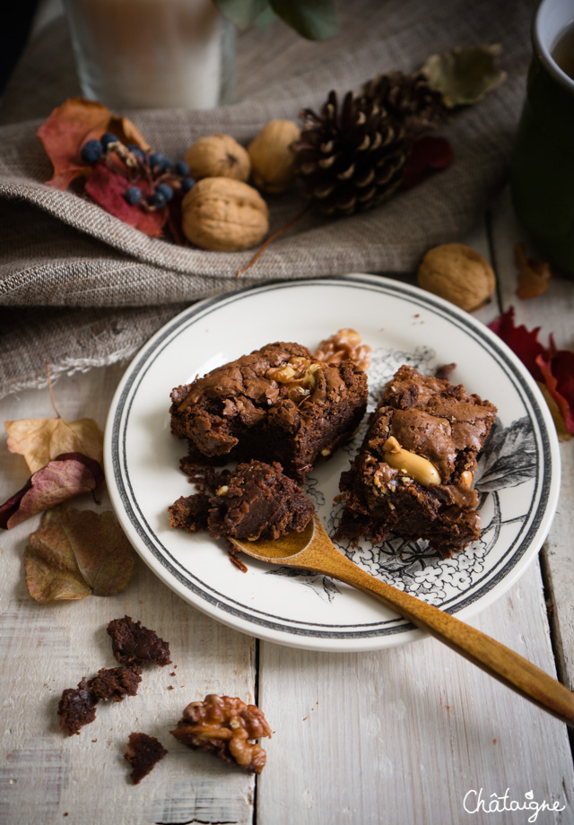 Brownies au chocolat, noix et cacahuètes