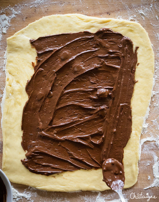 Babka ou Krantz [Brioche marbrée au chocolat]