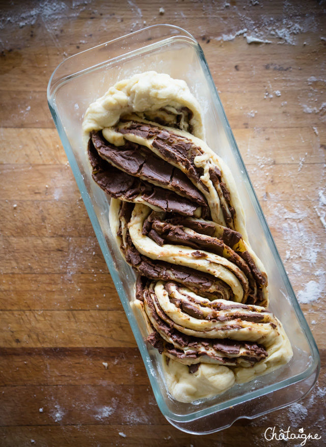 Babka ou Krantz [Brioche marbrée au chocolat]