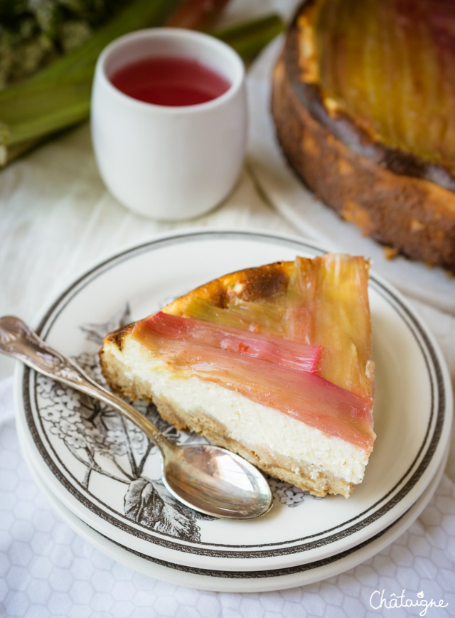 Cheesecake à la rhubarbe