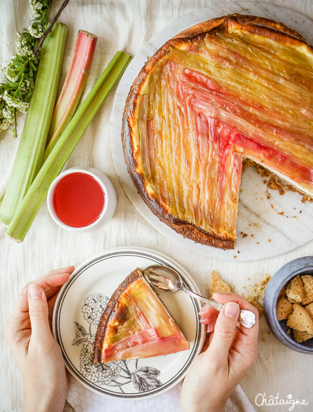 Cheesecake à la rhubarbe