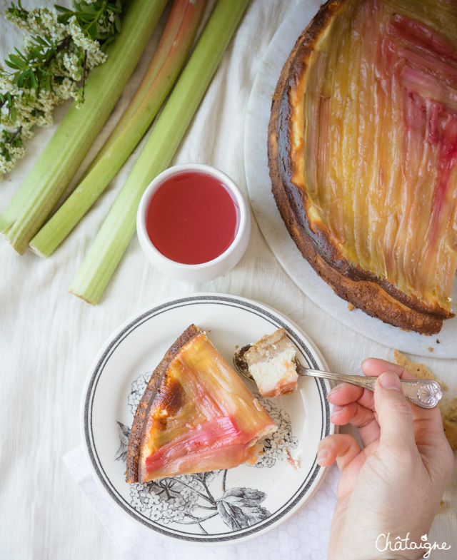 Cheesecake à la rhubarbe