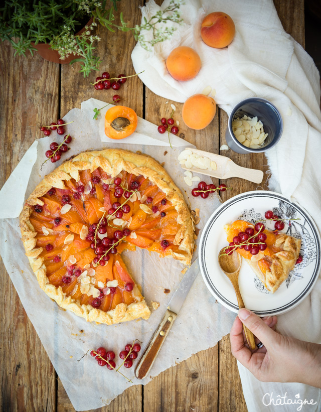 Tarte rustique aux abricots et groseilles