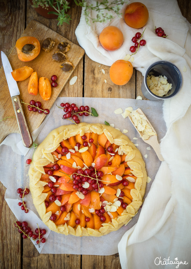 Tarte rustique aux abricots et groseilles