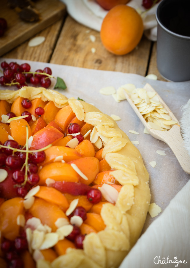 Tarte rustique aux abricots et groseilles