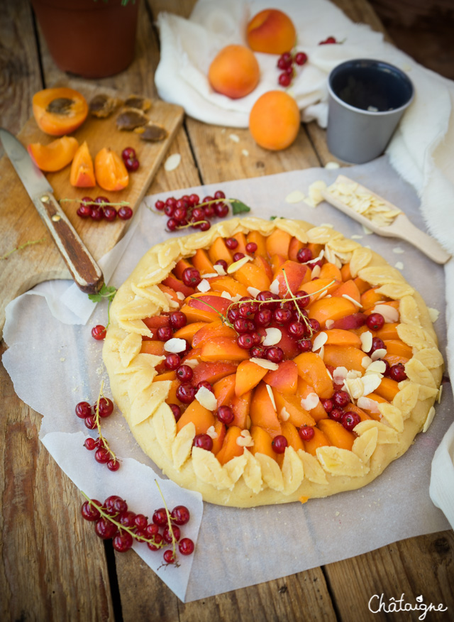 Tarte rustique aux abricots et groseilles