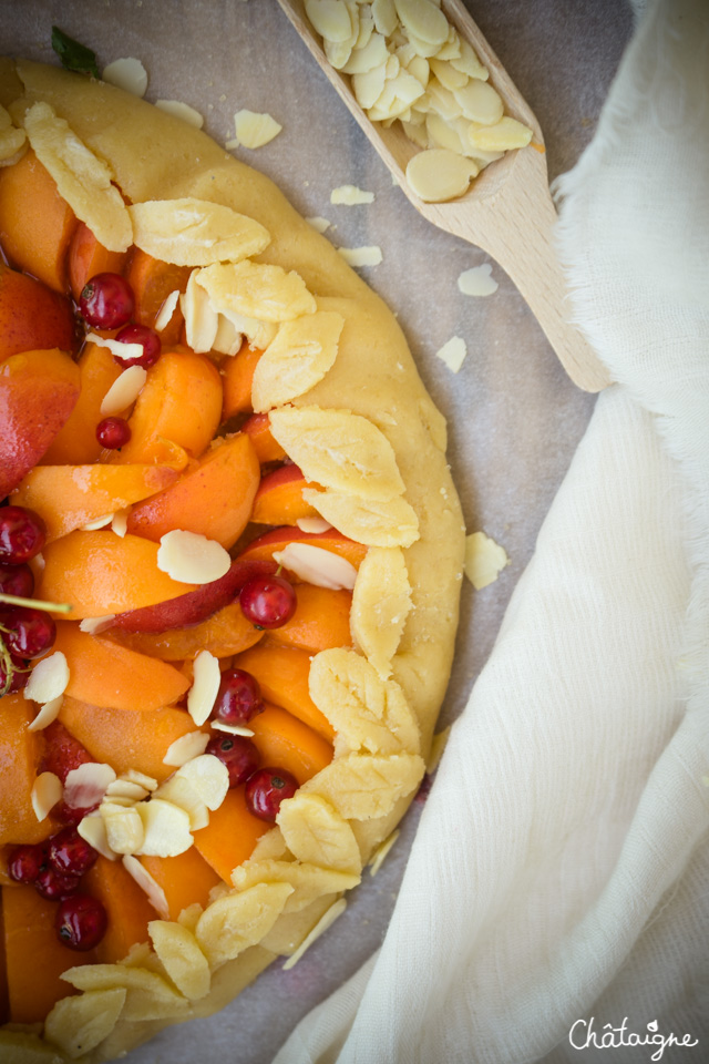 Tarte rustique aux abricots et groseilles