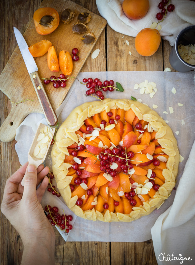 Tarte rustique aux abricots et groseilles