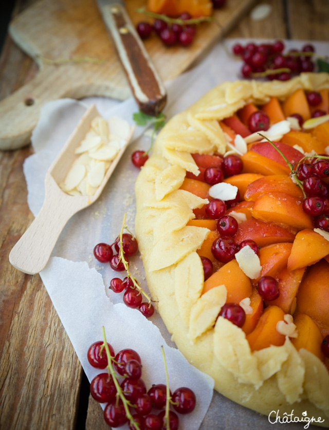 Tarte rustique aux abricots et groseilles