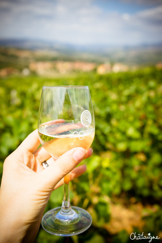 Le temps des vendanges