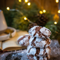 Recettes de Fêtes [Noël et Jour de l'An]