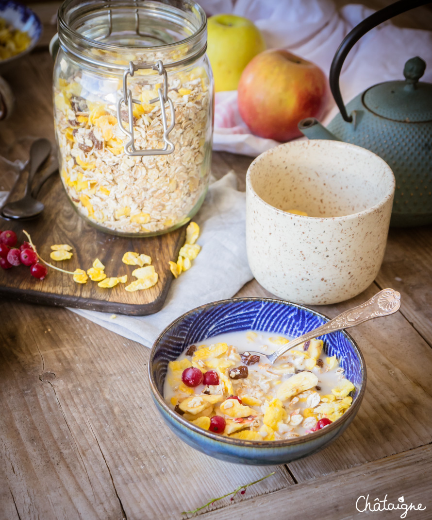 Muesli maison sans sucres ajoutés