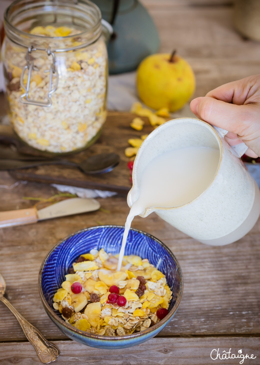 Muesli maison sans sucres ajoutés