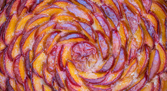Tarte aux prunes {pour profiter encore du soleil}