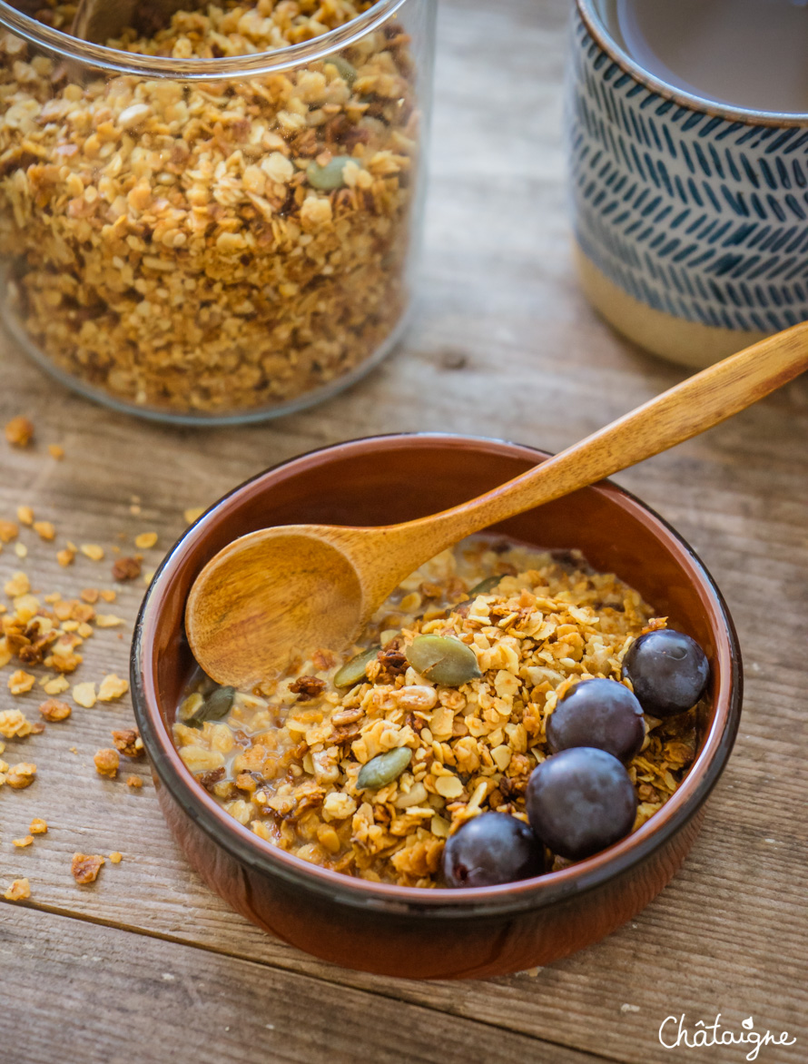 Granola aux graines